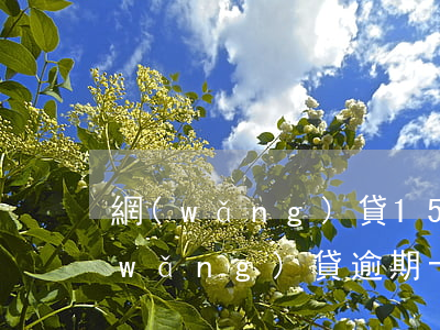 網(wǎng)貸1500逾期10天(網(wǎng)貸逾期十天什么后果)