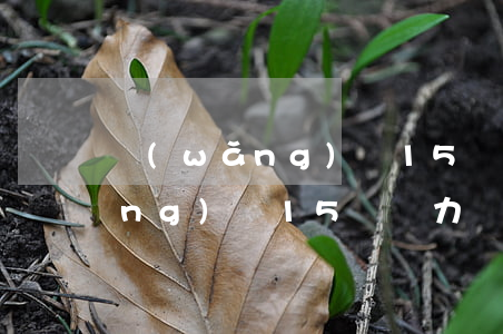 網(wǎng)貸15萬無力償還(網(wǎng)貸15萬無力償還會判刑嗎)