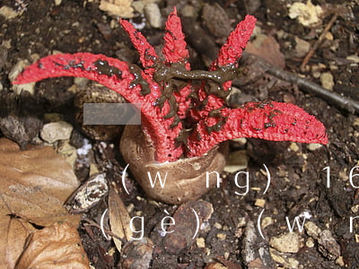 網(wǎng)貸16家逾期一年的(十來個(gè)網(wǎng)貸逾期半年)