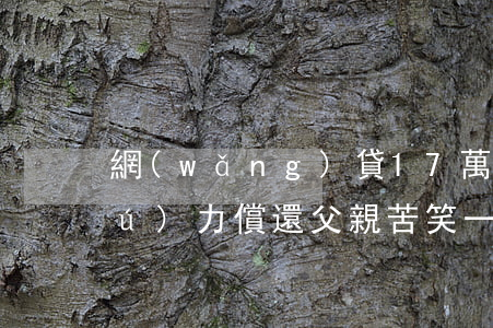 網(wǎng)貸17萬(wàn)無(wú)力償還父親苦笑一聲-網(wǎng)貸欠17萬(wàn)還不起怎么辦