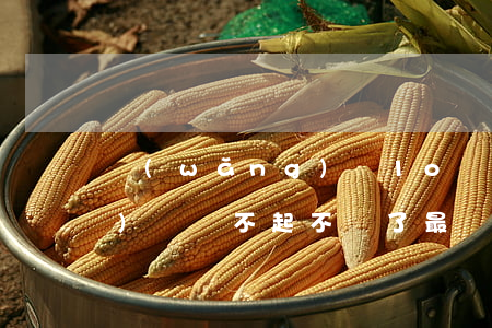 網(wǎng)貸1o還不起(網(wǎng)貸還不起不還了,最壞結(jié)果)