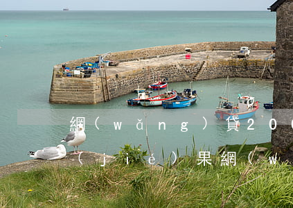 網(wǎng)貸2000催收不還什么結(jié)果(網(wǎng)貸2000會(huì)上門催收嗎)