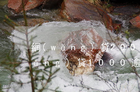 網(wǎng)貸2000逾期4年(網(wǎng)貸1000逾期三年)
