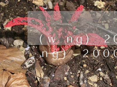 網(wǎng)貸200元逾期半年(網(wǎng)貸2000逾期兩年)