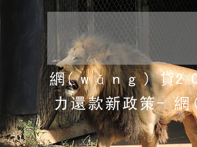 網(wǎng)貸2021年無(wú)能力還款新政策-網(wǎng)貸2021年無(wú)能力還款新政策是什么