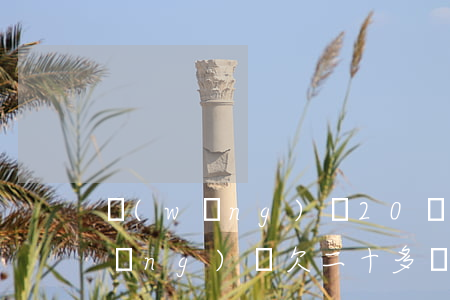 網(wǎng)貸20萬無力償還-網(wǎng)貸欠二十多萬無力償還