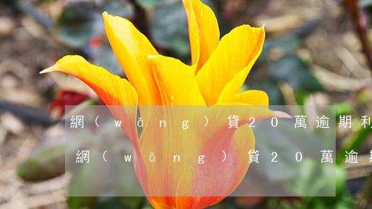 網(wǎng)貸20萬逾期利息都還不起(網(wǎng)貸20萬逾期利息都還不起)