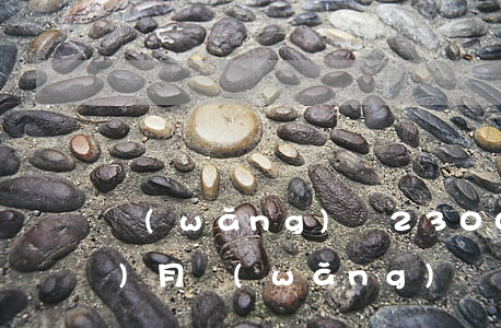 網(wǎng)貸2300逾期一個(gè)月(網(wǎng)貸20000逾期4個(gè)月)