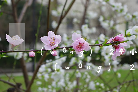 網(wǎng)貸24小時(shí)要起訴 網(wǎng)貸24小時(shí)要起訴嗎