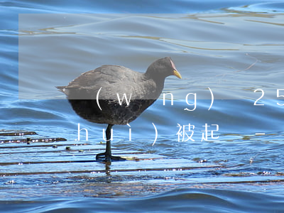 網(wǎng)貸2500逾期多久才會(huì)被起訴-網(wǎng)貸2500逾期多久才會(huì)被起訴呢