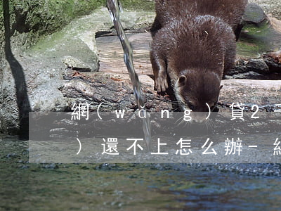 網(wǎng)貸2千逾期了暫時(shí)還不上怎么辦-網(wǎng)貸2千逾期了暫時(shí)還不上怎么辦呢