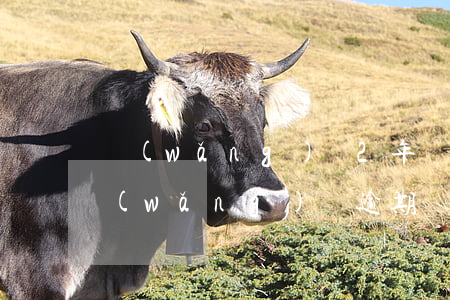 網(wǎng)貸2年沒(méi)起訴 網(wǎng)貸逾期兩年了一直沒(méi)有被起訴