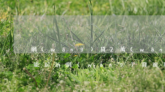 網(wǎng)貸2萬(wàn)逾期多久能起訴(網(wǎng)貸逾期一萬(wàn)多會(huì)起訴嗎?)
