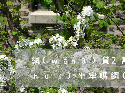 網(wǎng)貸2萬(wàn)逾期會(huì)坐牢嗎(網(wǎng)貸逾期兩萬(wàn)還不上會(huì)不會(huì)坐牢)