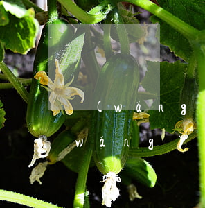 網(wǎng)貸2萬逾期會被起訴嗎（網(wǎng)貸逾期2萬以內(nèi)會不會起訴）