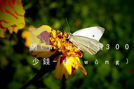 網(wǎng)貸3000逾期三年要還多少錢-網(wǎng)貸3000逾期三年要還多少錢呢