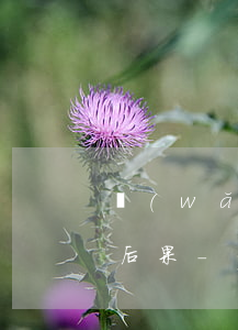 網(wǎng)貸3000逾期兩年了什么后果-網(wǎng)貸3000逾期兩年了什么后果呢