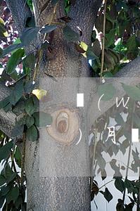 網(wǎng)貸3000逾期半個(gè)月(網(wǎng)貸3千逾期會(huì)被起訴嗎)