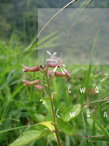 網(wǎng)貸30萬(wàn)逾期(網(wǎng)貸30萬(wàn)逾期)