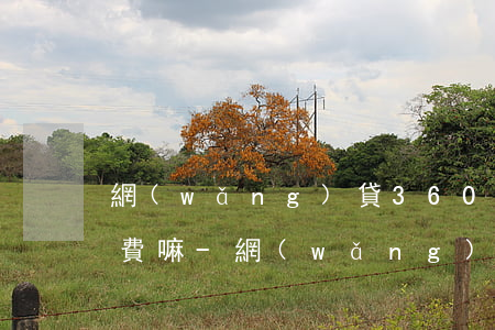 網(wǎng)貸360被起訴需要還逾期費嘛-網(wǎng)貸360被起訴需要還逾期費嘛