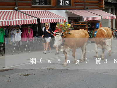 網(wǎng)貸360逾期7k多怎么辦