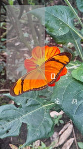 網(wǎng)貸360逾期有事嗎(360逾期十天左右)