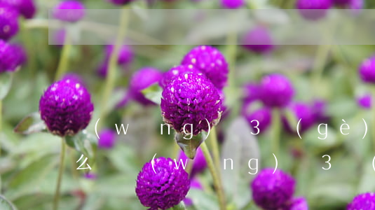 網(wǎng)貸3個(gè)月不還款怎么辦(網(wǎng)貸3個(gè)月不還款怎么辦)
