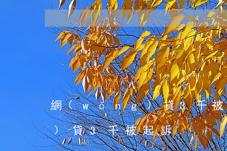 網(wǎng)貸3千被起訴(網(wǎng)貸3千被起訴)