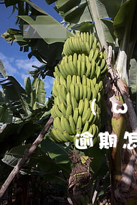 網(wǎng)貸3家還可以辦信用卡嗎沒逾期怎么辦（網(wǎng)貸3家還可以辦信用卡嗎沒逾期）