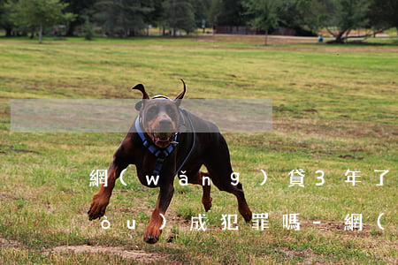 網(wǎng)貸3年了還能起訴嗎構(gòu)成犯罪嗎-網(wǎng)貸3年了還能起訴嗎構(gòu)成犯罪嗎怎么處理