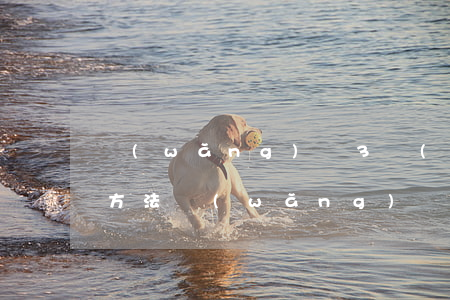 網(wǎng)貸3萬(wàn)逾期處理方法(網(wǎng)貸逾期3年的后果如何?)