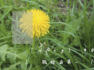 網(wǎng)貸4000不按時(shí)還款的后果-網(wǎng)貸4000不按時(shí)還款的后果是什么