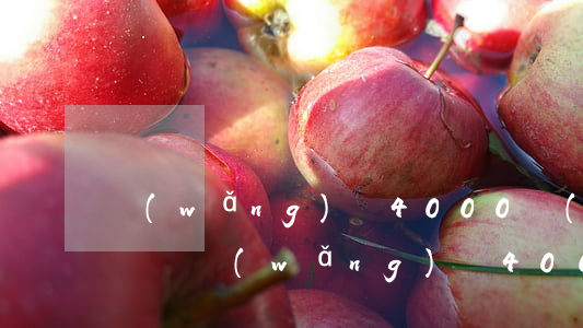 網(wǎng)貸4000會(huì)起訴嗎(網(wǎng)貸4000會(huì)被起訴嗎)
