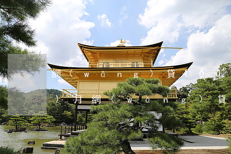網(wǎng)貸4000逾期兩個(gè)月(網(wǎng)貸逾期四年以上)