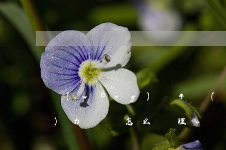 網(wǎng)貸4萬(wàn)無(wú)力償還怎么處理-網(wǎng)貸4萬(wàn)無(wú)力償還怎么處理最好