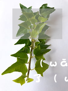網(wǎng)貸4萬(wàn)逾期3年了(網(wǎng)貸4萬(wàn)逾期3年了)