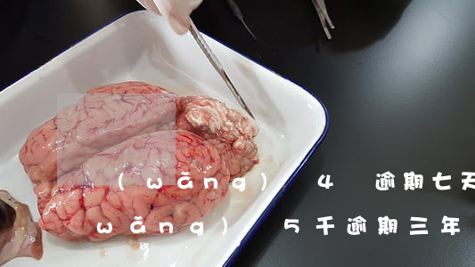 網(wǎng)貸4萬逾期七天怎么辦(網(wǎng)貸5千逾期三年)