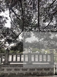 網(wǎng)貸5000逾期一年(網(wǎng)貸5000逾期一年利息多少)