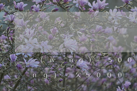 網(wǎng)貸5000還不起(網(wǎng)貸欠5000)