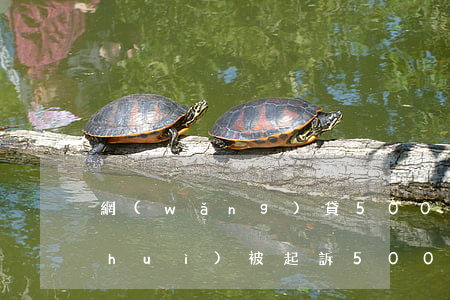 網(wǎng)貸500不還逾期多久會(huì)被起訴(5000網(wǎng)貸逾期多久會(huì)被起訴)
