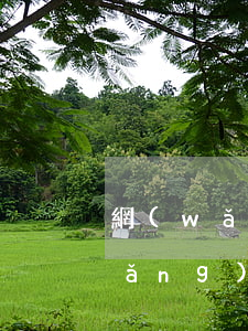 網(wǎng)貸500元欠兩年(欠網(wǎng)貸了5千三年沒還)
