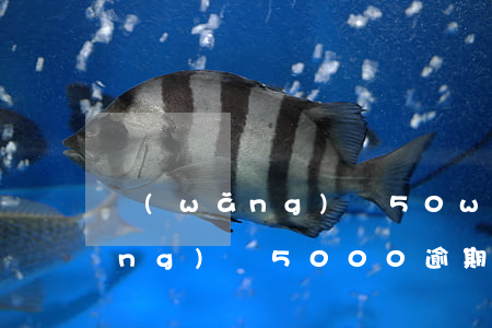 網(wǎng)貸50w逾期圖片(網(wǎng)貸5000逾期時(shí)間長(zhǎng)了怎么辦)