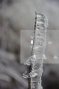 網(wǎng)貸50萬逾期8個(gè)月怎么辦(網(wǎng)貸幾十萬全部逾期)
