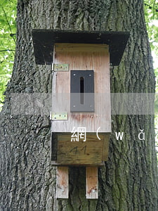 網(wǎng)貸52萬逾期怎么辦