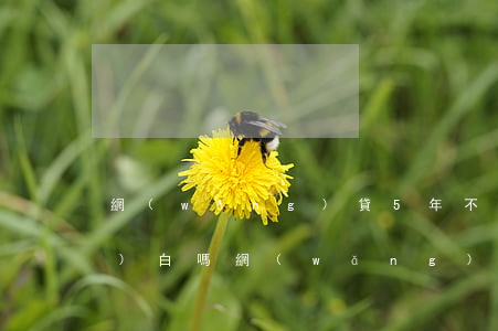 網(wǎng)貸5年不還征信會(huì)白嗎(網(wǎng)貸一直沒還征信會(huì)黑多久)