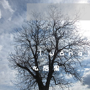 網(wǎng)貸5萬(wàn)不還有什么后果
