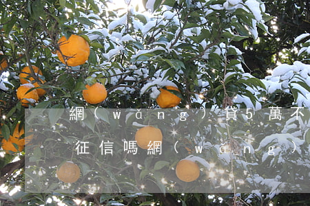 網(wǎng)貸5萬不還會(huì)上征信嗎(網(wǎng)貸超過五萬不還會(huì)怎么樣)