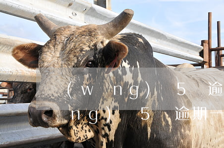 網(wǎng)貸5萬逾期會坐牢嗎(網(wǎng)貸5萬逾期一年還多少)