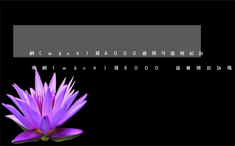 網(wǎng)貸6000逾期可能被起訴嗎（網(wǎng)貸6000沒還會被起訴嗎）