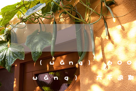 網(wǎng)貸600元逾期的后果(網(wǎng)貸六千逾期半年會(huì)被起訴嗎)